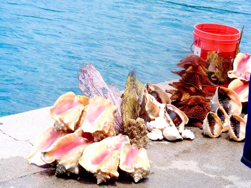 Nassau Bahamas Conch Style by Belle Solo Travel